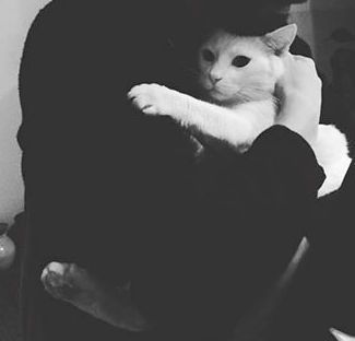 17796029_10155268736149052_2394522304885548062_n